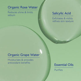 Caudalie Vinopure toner ingredients rose water and grape water hydrate.