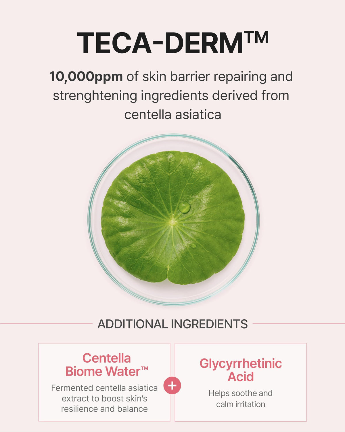 CENTELLIAN 24 Madeca Daily Repair Ampoule application on hands demonstrates routine integration
