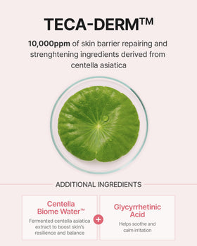 CENTELLIAN 24 Madeca Daily Repair Ampoule application on hands demonstrates routine integration