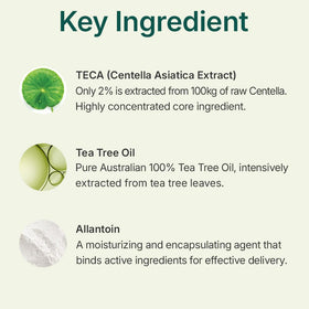 On-skin application demonstrates quick absorption and oil control