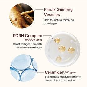 CENTELLIAN 24 PDRN Firming Ampoule texture close-up for fast absorption.