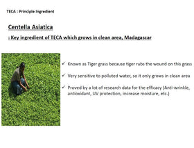 Centellian 24 TECA Tech formula label highlights advanced skincare science.