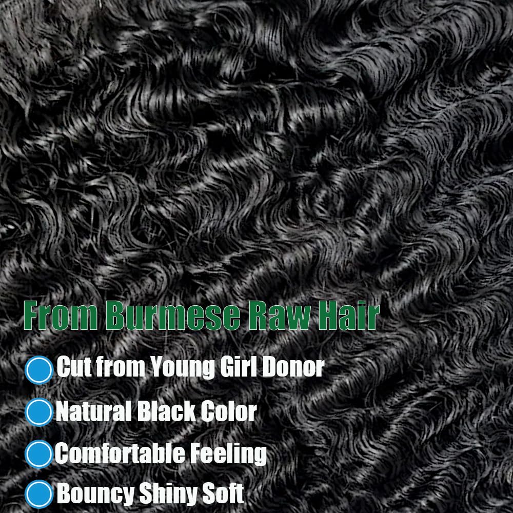 Ceoltay Burmese Curly Bundles Natural Black Color for seamless color matching.