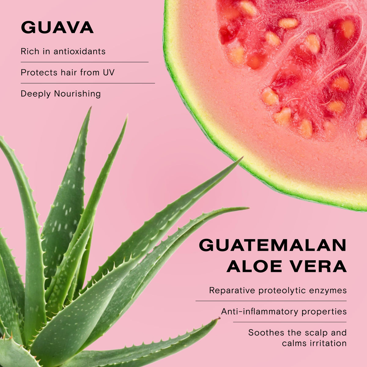 Ceremonia Guava Color Protect Conditioner ingredients—guava and aloe for hydration.