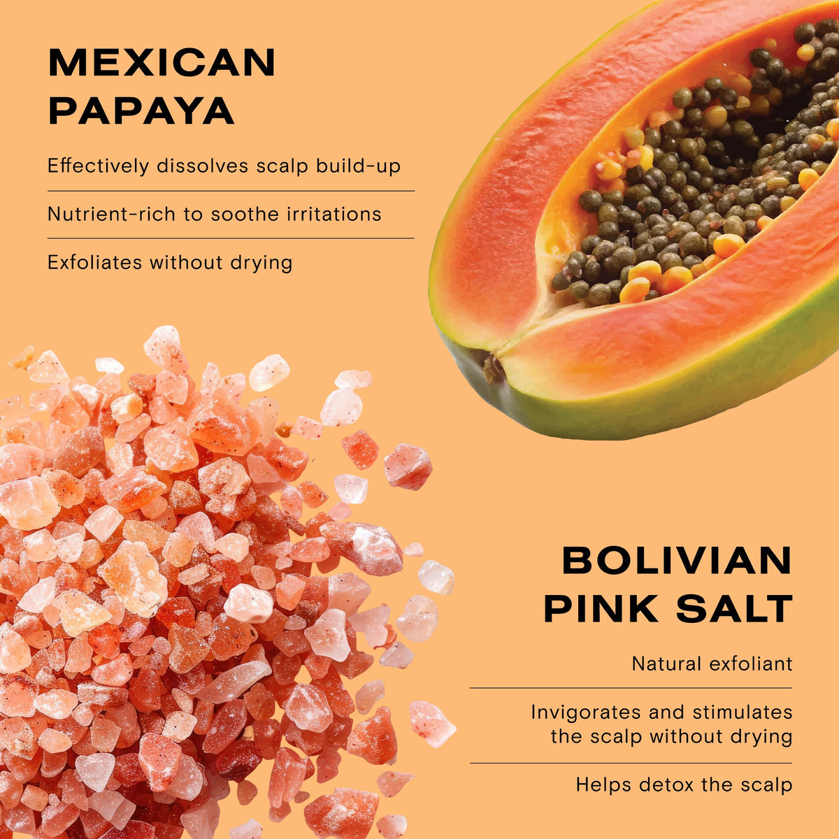 Ceremonia Guava Leaf Moisture focuses on scalp hydration and hair softness