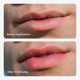 Chaddy Matte Lip Plumper swatches show even color and subtle volume