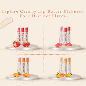 Chap-Lip 60-pack gift set ready for gifting