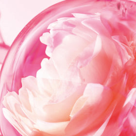Love Frequency scent-trail imagery conveying long-lasting allure through the day