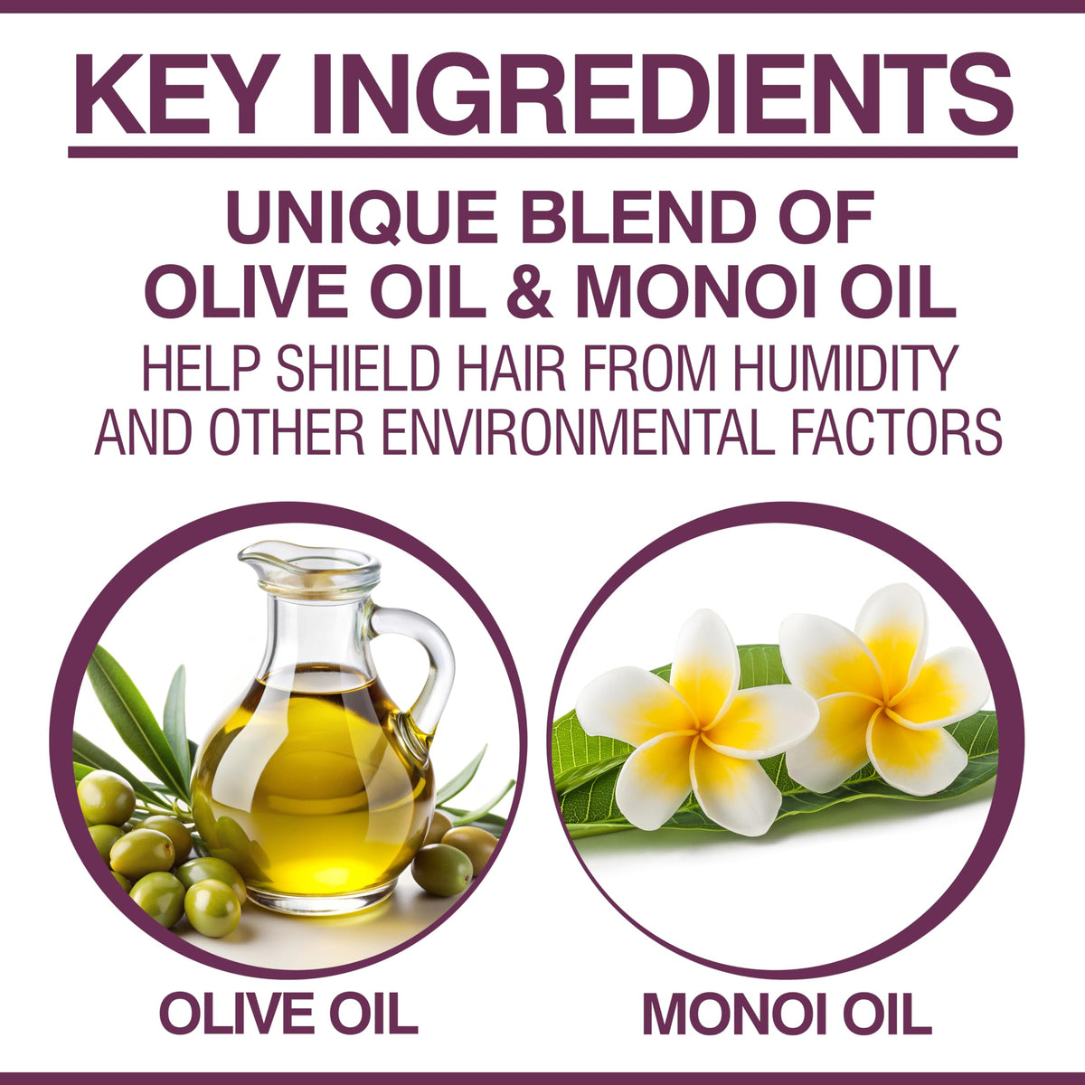 CHI Deep Brilliance Olive Oil drops highlight hydration benefits.