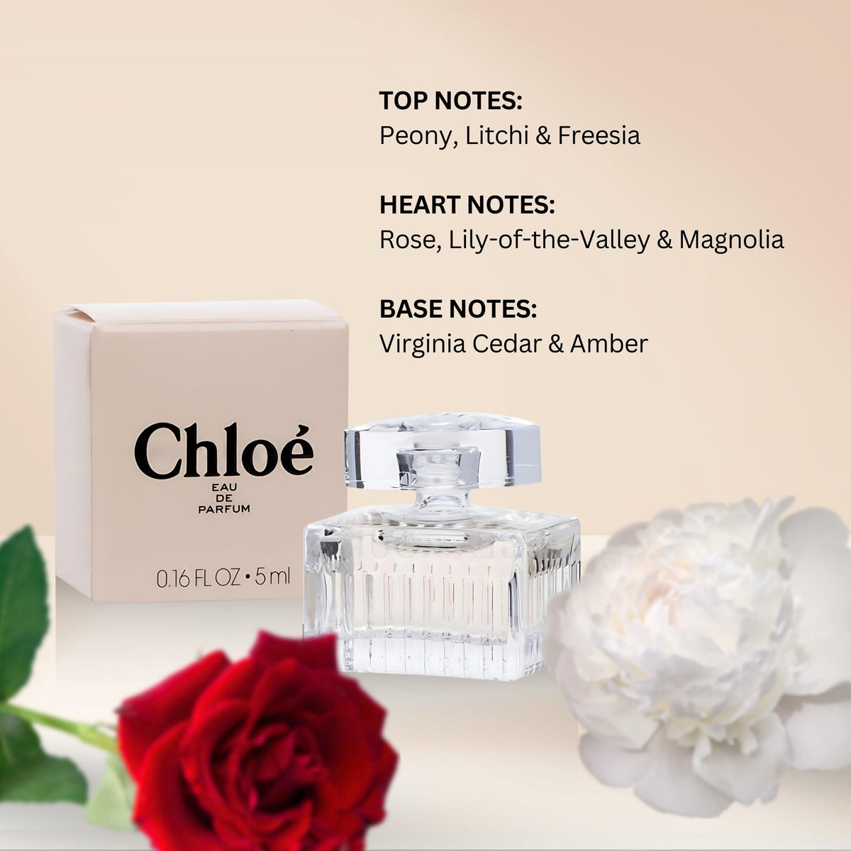 Chloe mini splash label with classic branding for quick recognition
