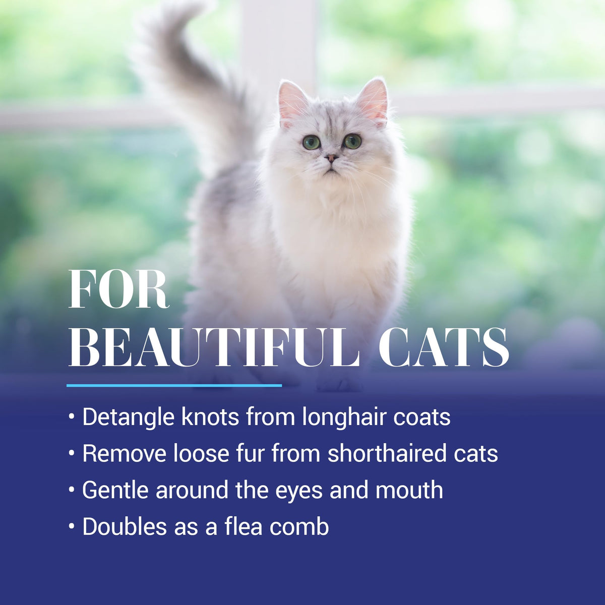 Chris Christensen compact 5-inch design fits faces and paws.