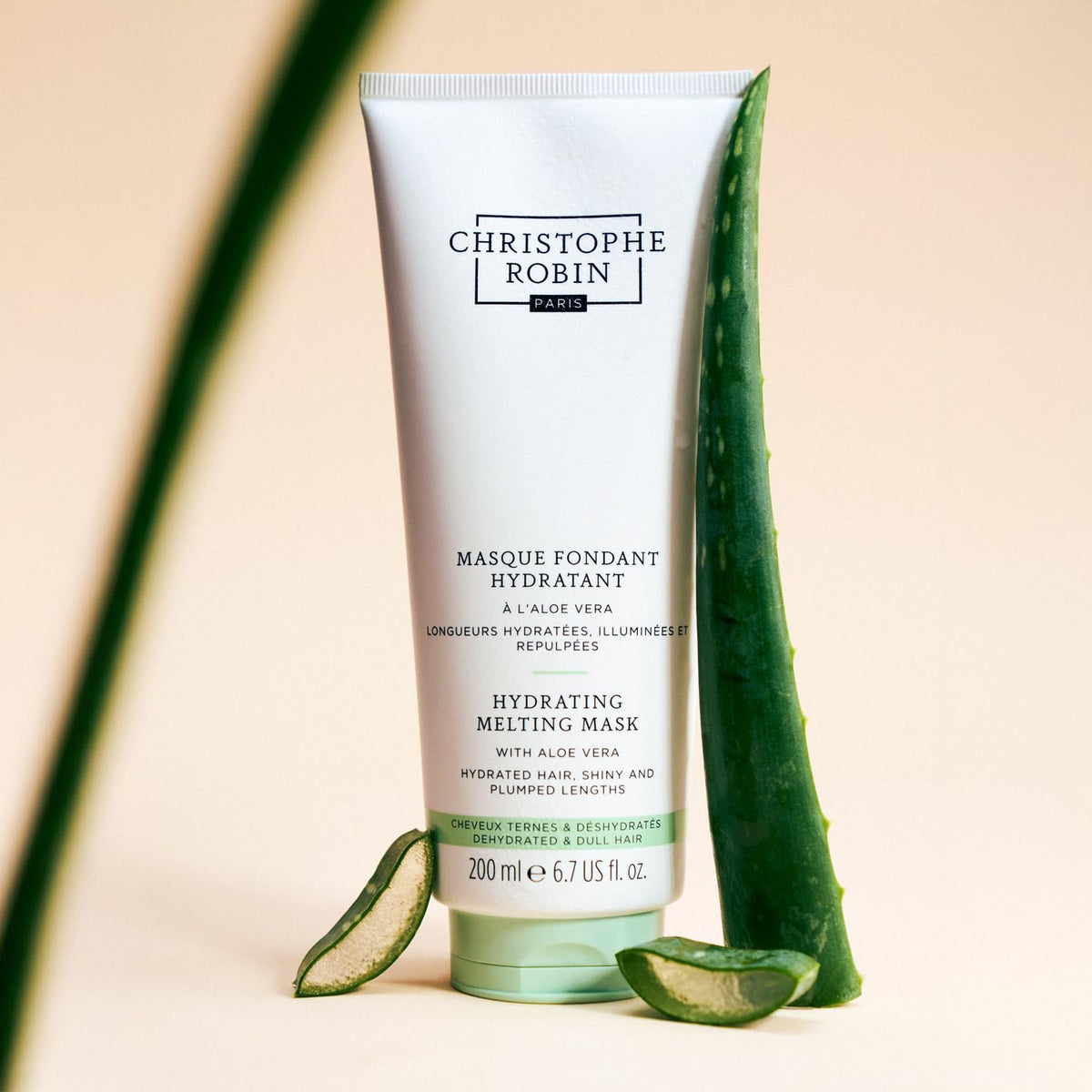 Christophe Robin mask on glossy lengths showing shine and frizz reduction