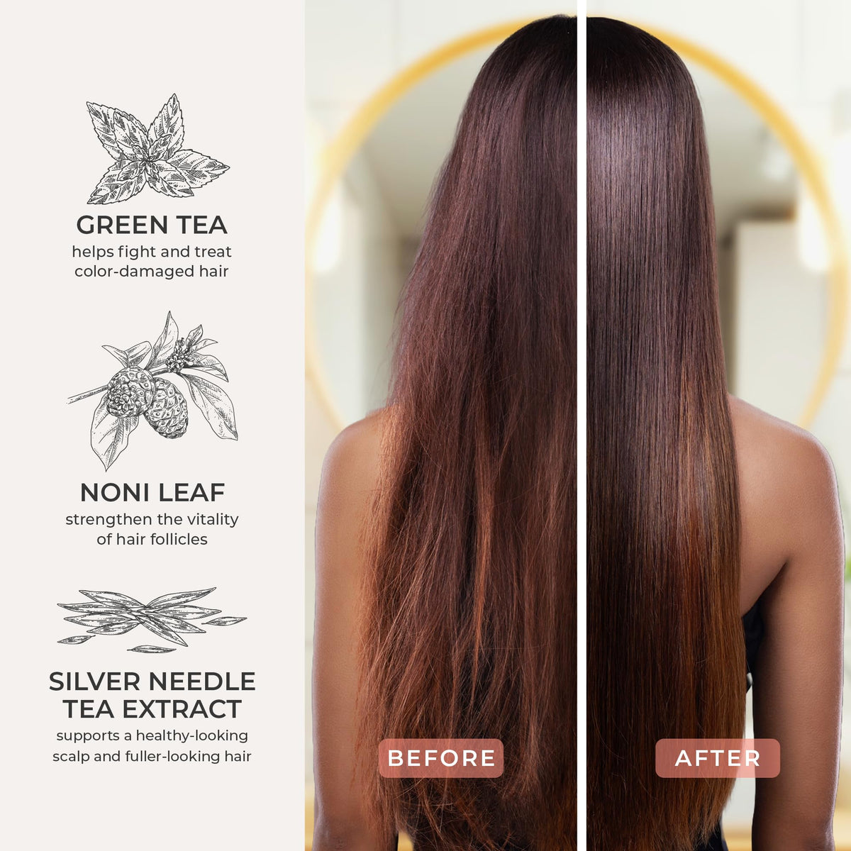 CIBU antioxidant tea blend illustration for color longevity