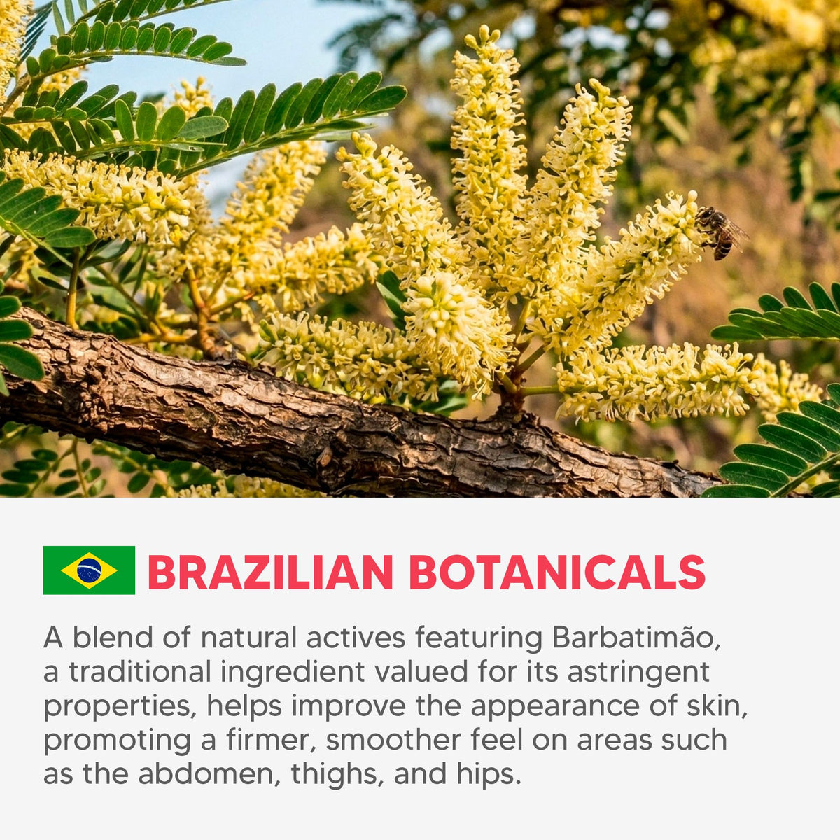 Cicatrissim barbatimao ingredient detail shows rainforest actives supporting skin vitality.