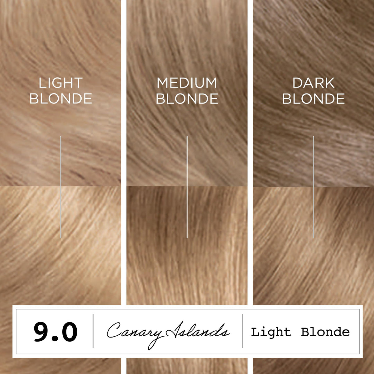 Clairol ColorStrong instruction leaflet guiding at-home coloring steps