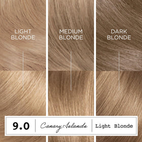 Clairol ColorStrong instruction leaflet guiding at-home coloring steps