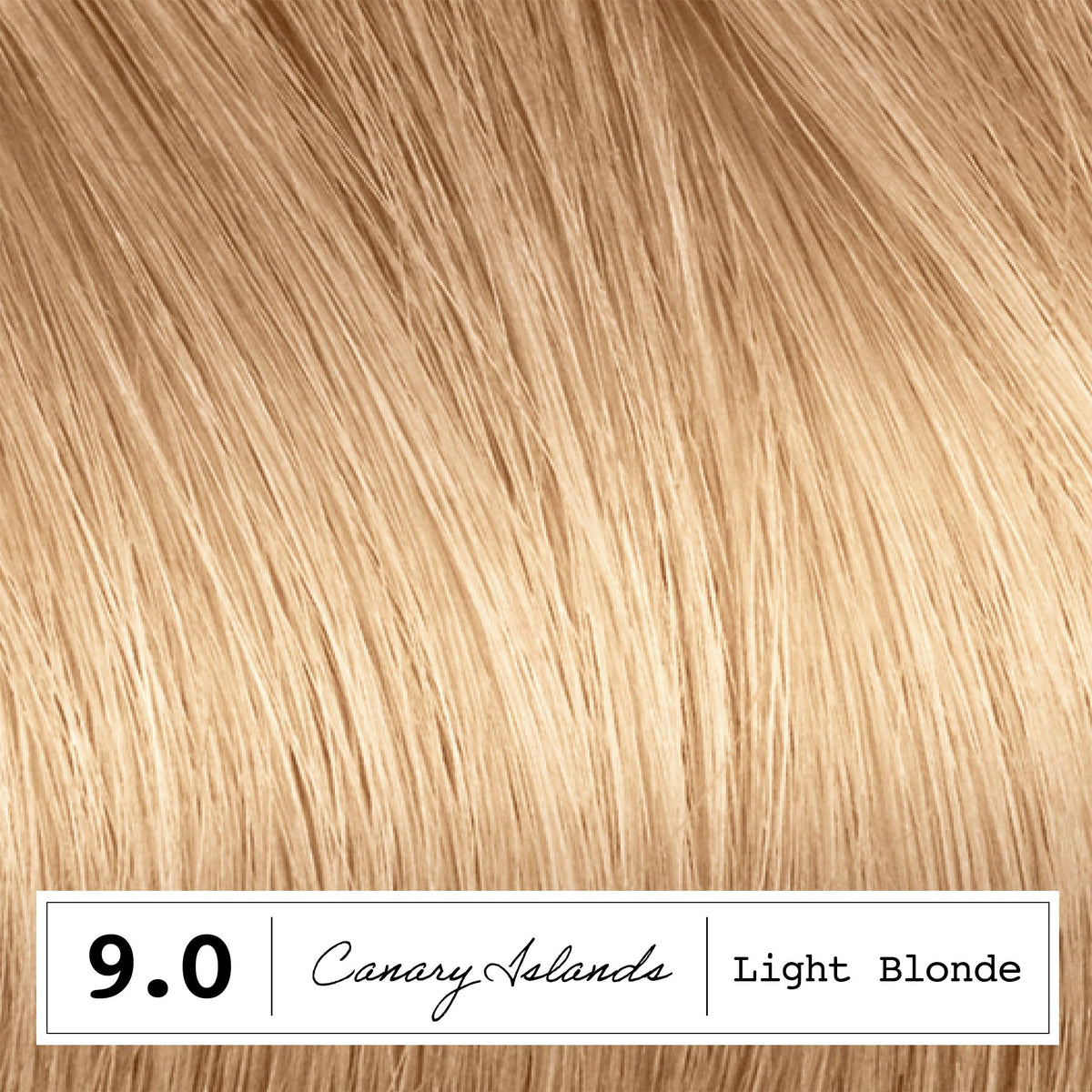 Clairol ColorStrong permanent color cream ready for even, multidimensional color