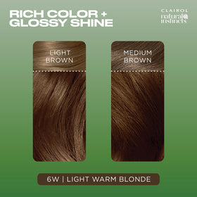 Clairol Natural Instincts gloves and instructions leaflet for mess-free coloring