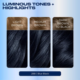 Clairol Revitashine Intensive Treatment seals color and supports shine.