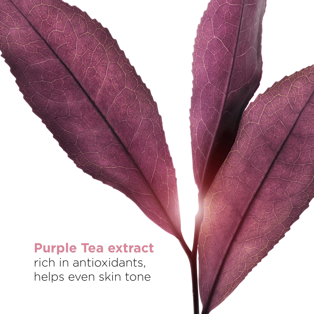 Clarins Bright Plus Serum ingredients vitamin C derivative and niacinamide for brighter skin.