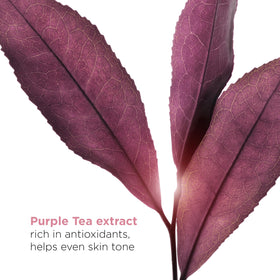Clarins Bright Plus Serum ingredients vitamin C derivative and niacinamide for brighter skin.