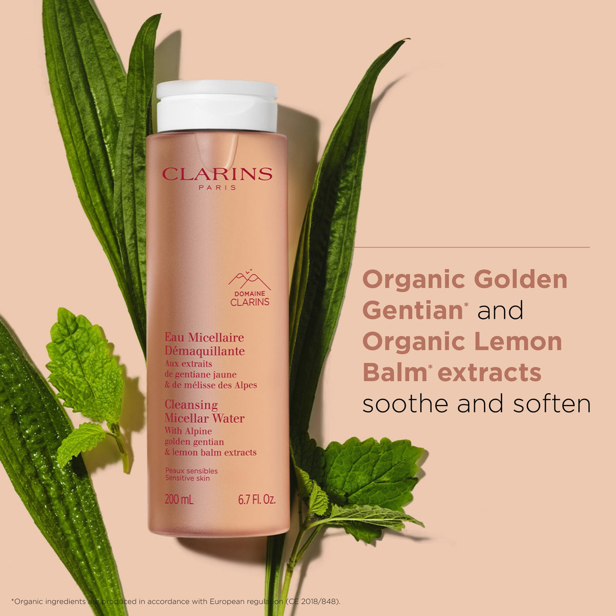 Clarins packaging shot emphasizing natural ingredients for gentle daily cleansing.