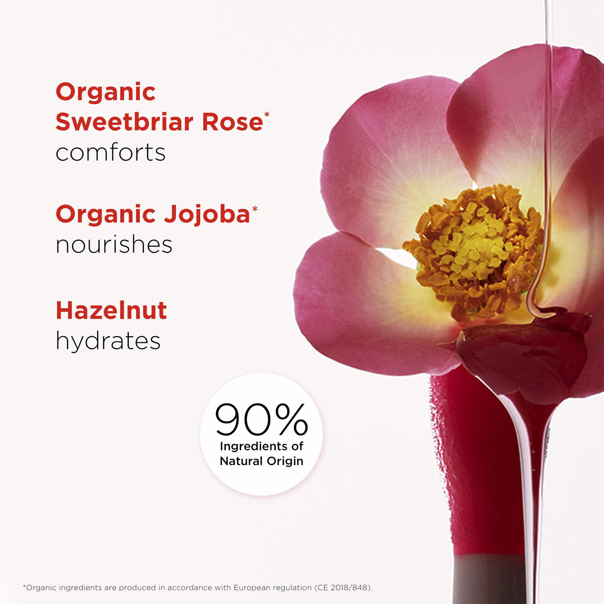Ingredients close-up on Clarins Lip Comfort Oil highlighting skincare-forward formula.