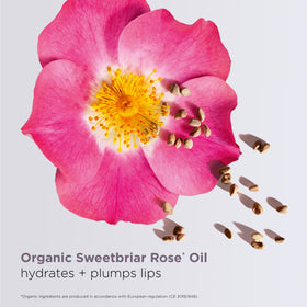 Clarins Lip Comfort Oil prep aids smooth lipstick application