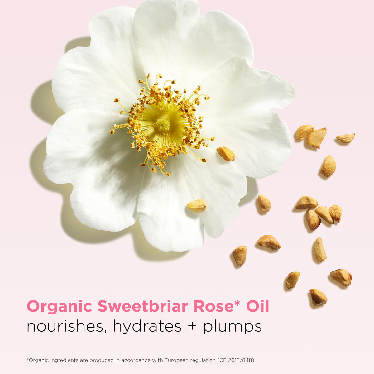 Worn alone for sheer shine with Clarins Lip Oil Balm Pitaya