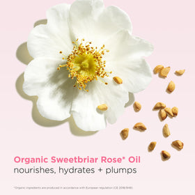 Clarins Lip Oil Balm shines with a natural sheer finish