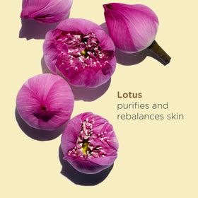 Clarins Lotus Face Oil Treatment liquid texture glides on gently