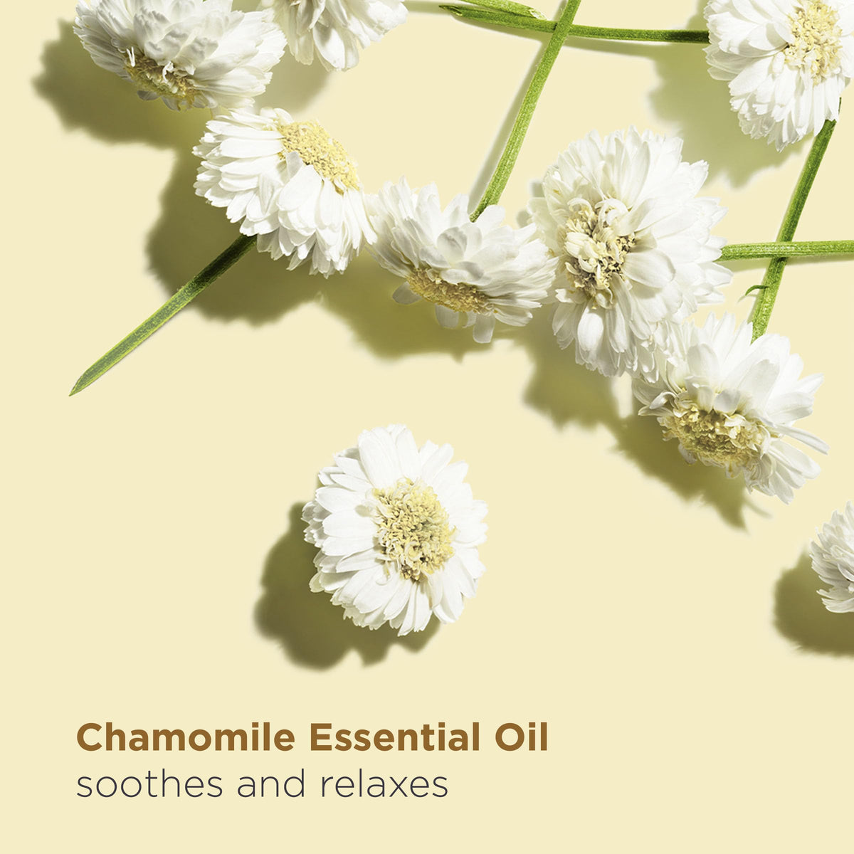 Clarins Relax Body Treatment Oil being applied to skin for smooth, silky feel
