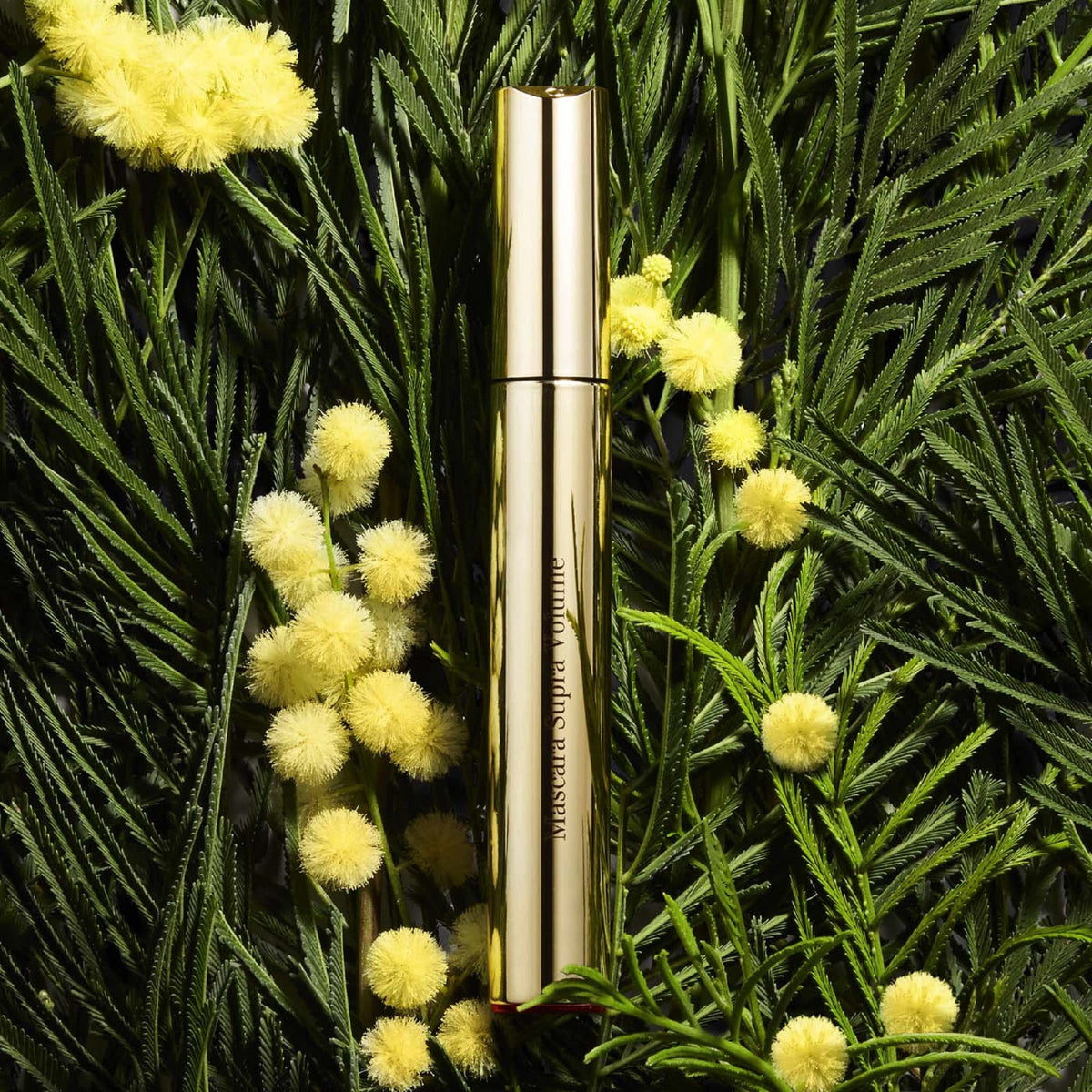Wand application of Clarins Supra Volume Mascara for lift and length