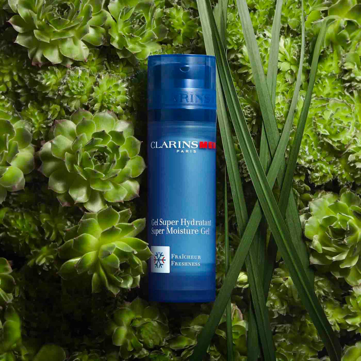 Clarins CLARINSMEN Super Moisture Gel highlights Organic Houseleek and Leaf of Life extracts