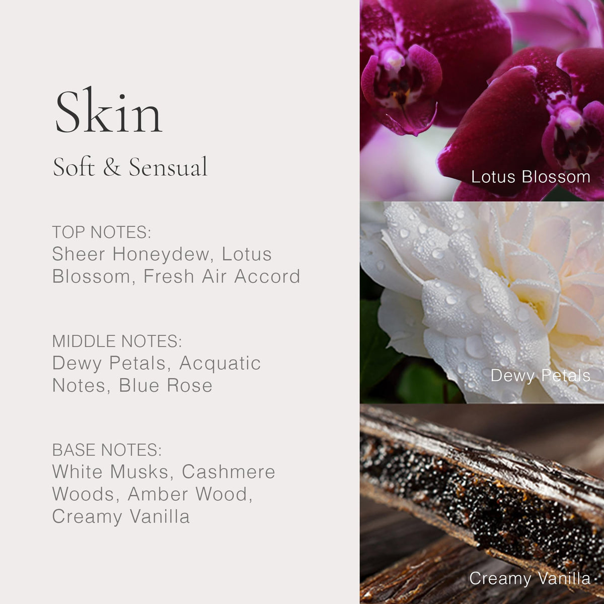 CLEAN Classic 3x30ml set front view; versatile fragrance trio