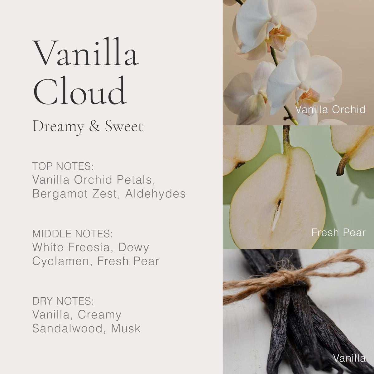 CLEAN CLASSIC Gift Set packaging, a thoughtful, travel-ready present.