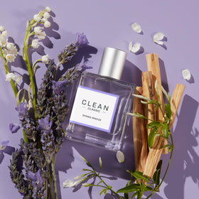 CLEAN Classic holiday gift ready set; ideal stocking stuffer