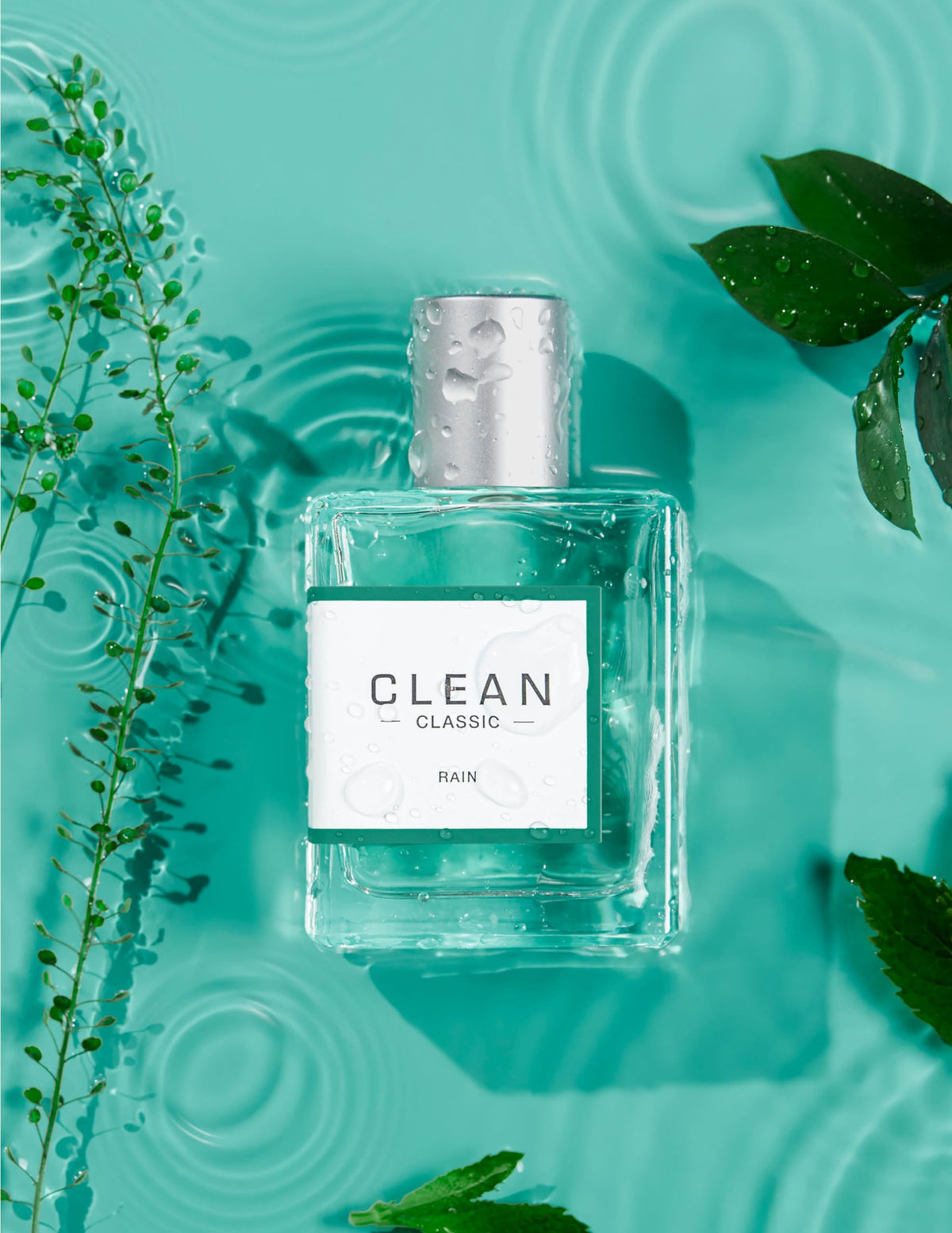 CLEAN CLASSIC Rain eco-friendly packaging showcased beside recyclable box