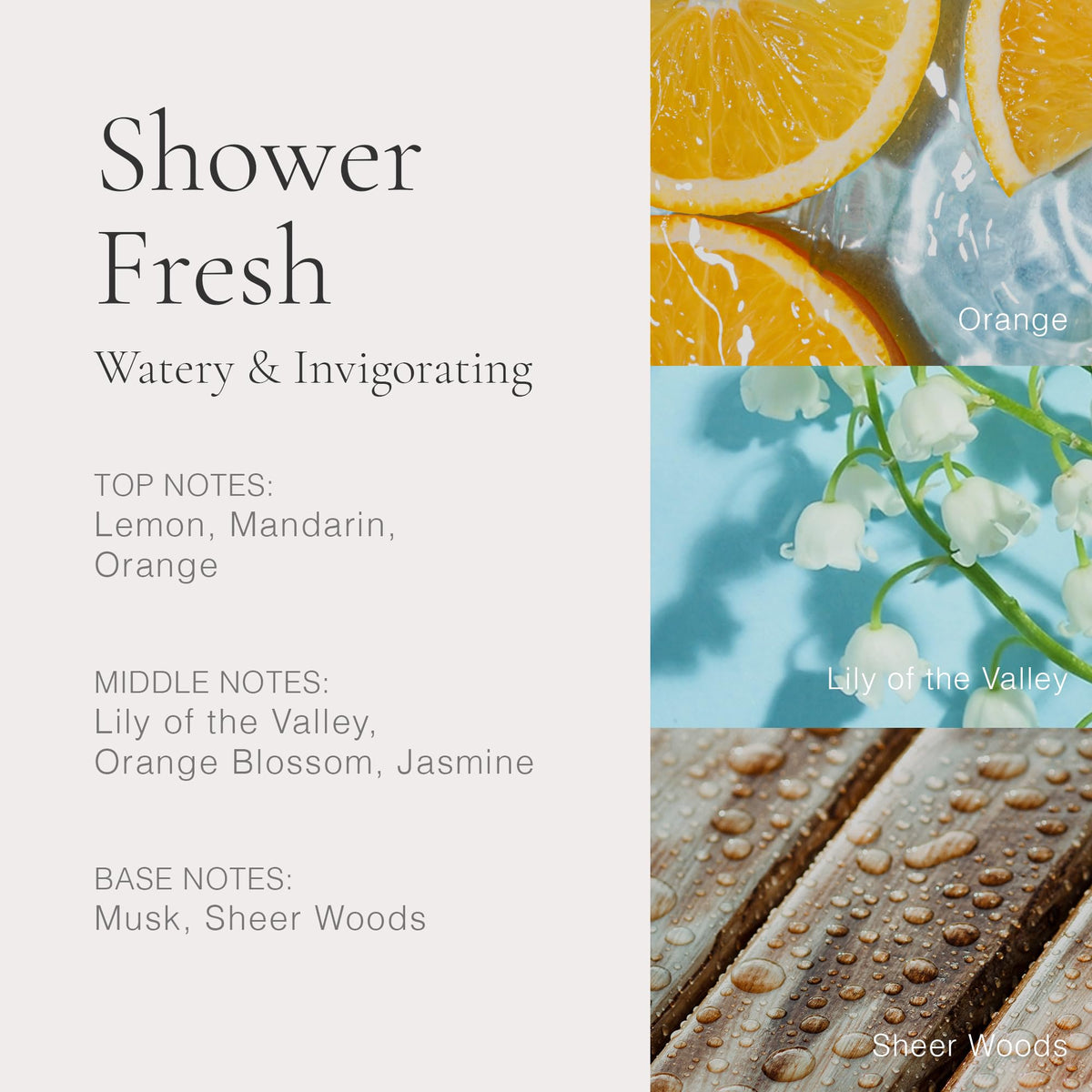 CLEAN CLASSIC Shower Fresh mist spray, even distribution