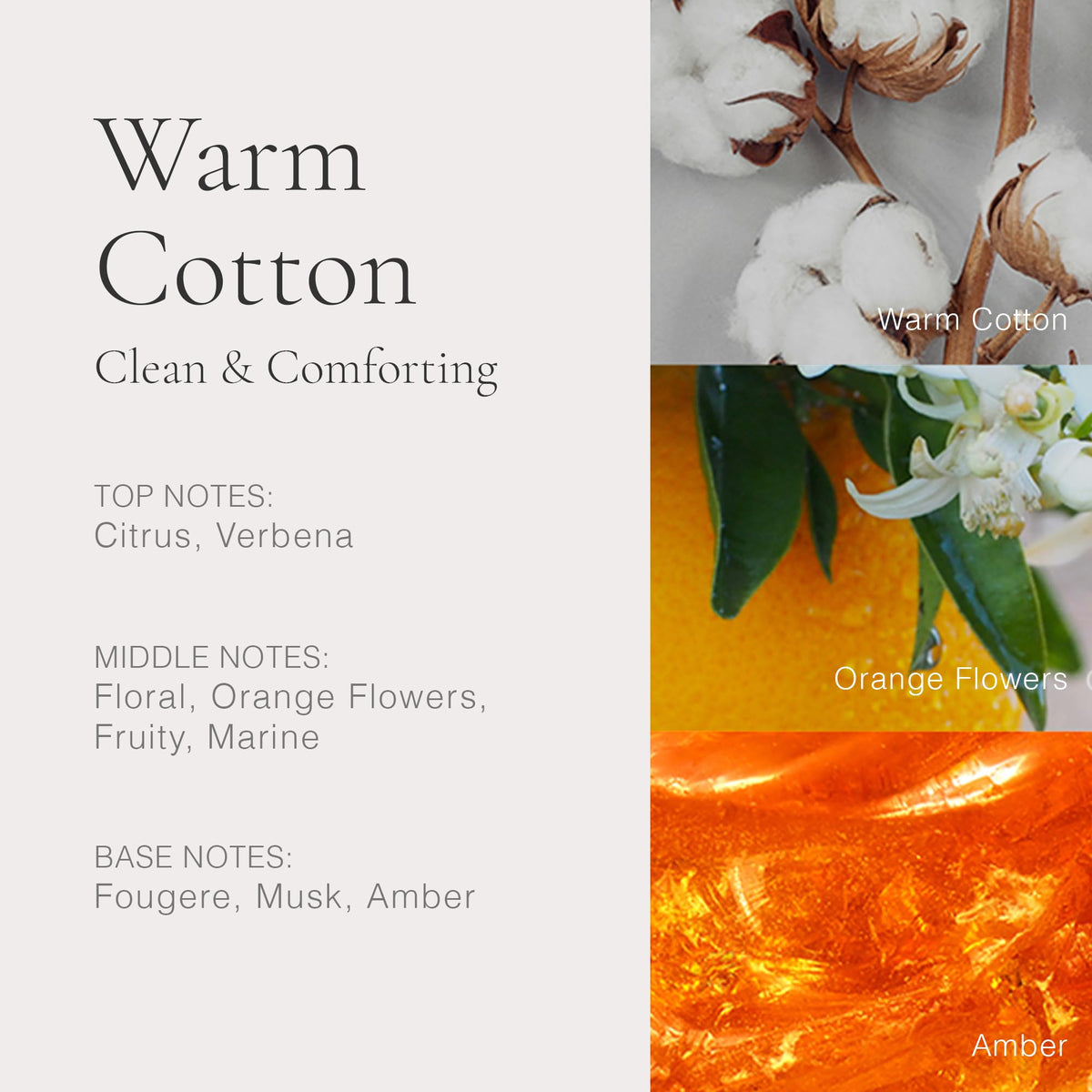 CLEAN Warm Cotton spray sample showing easy daily application