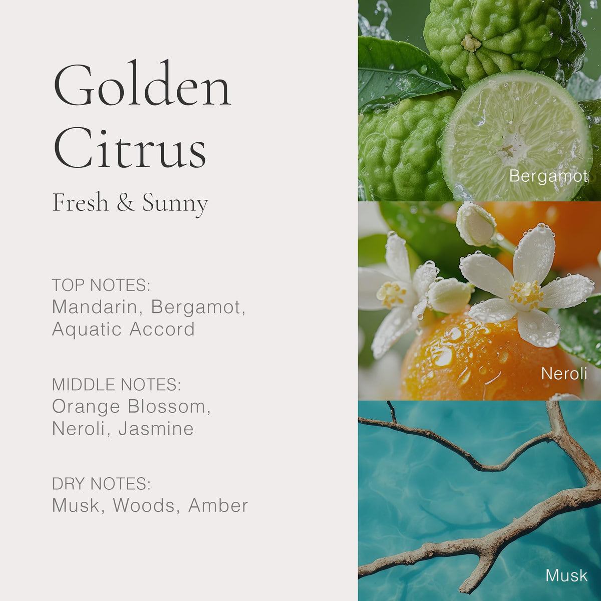CLEAN H2EAU Orange blossom-Neroli notes add a soft floral lift for freshness.