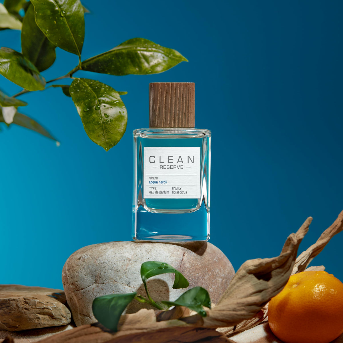 Spray-action shot demonstrates even application for everyday fragrance