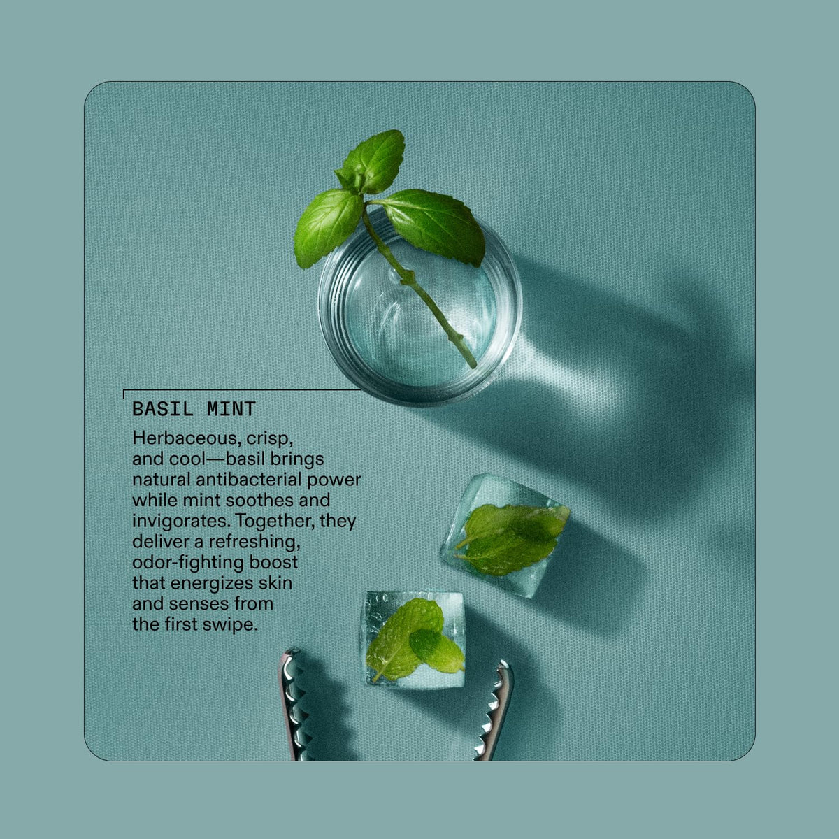 Cleo + Coco Basil Mint grapefruit bergamot scent close-up