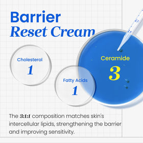 Six ceramides visual illustrates sensitive skin support by CNP.