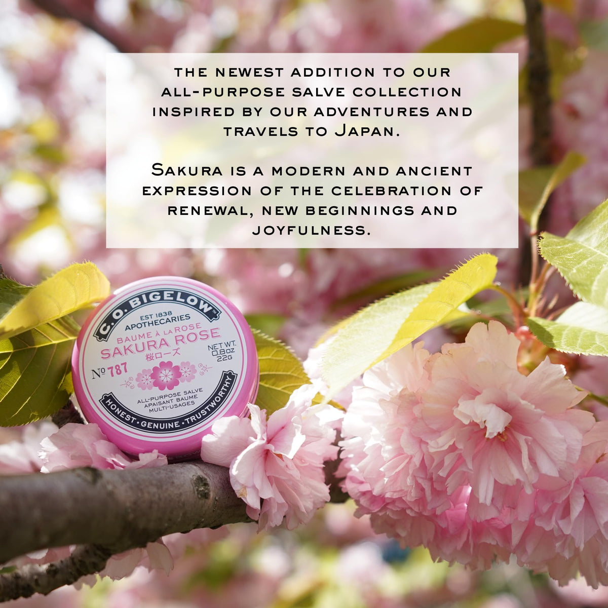Travel-friendly Sakura Rose Salve tins ready for on-the-go hydration.