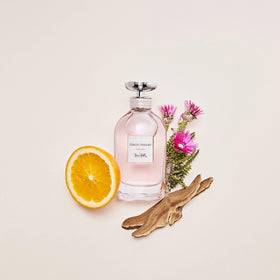 Coach Dreams cap close-up emphasizes premium packaging suitable for gifting