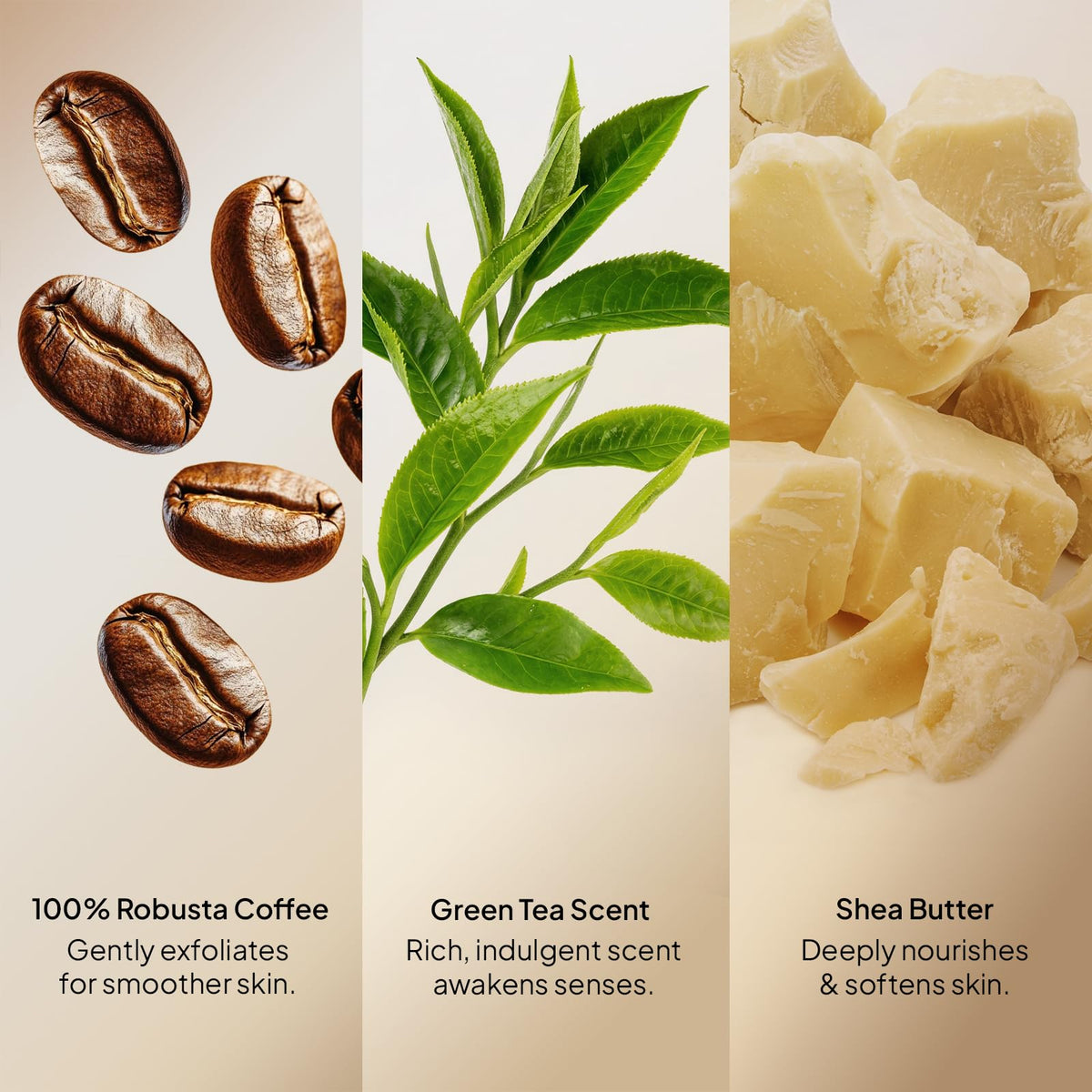 Green tea aroma note with antioxidant benefits for refreshed skin
