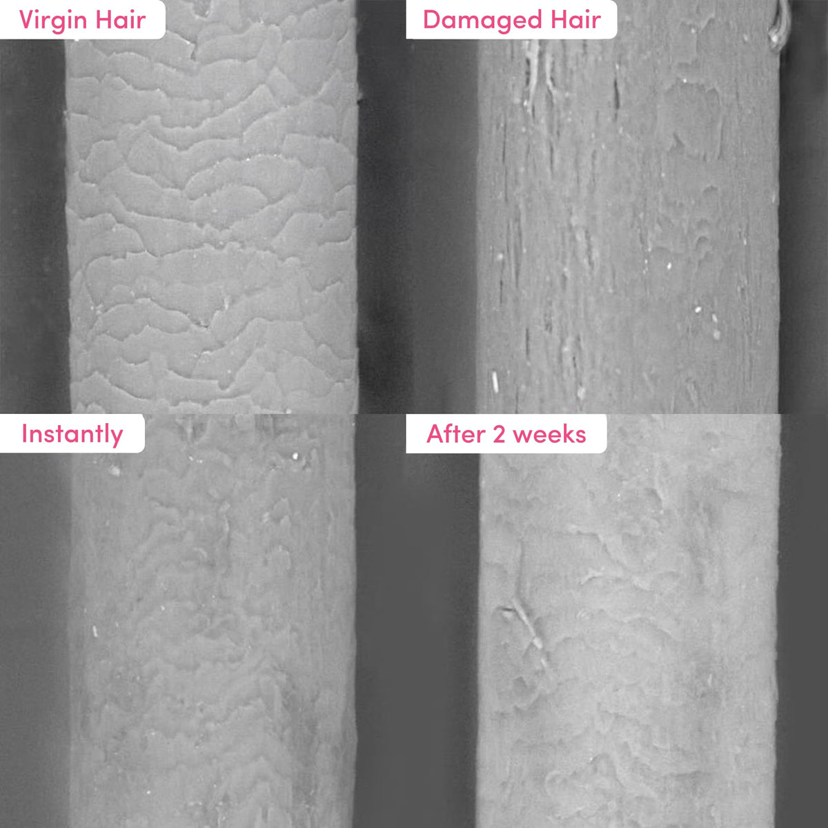 Coco & Eve biomimetic ceramides boost shine and protect the cuticle