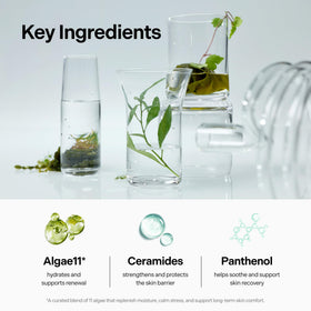 Coeternal Calming Hydration Cream ingredients include Centella, Niacinamide, Ceramides for barrier support.
