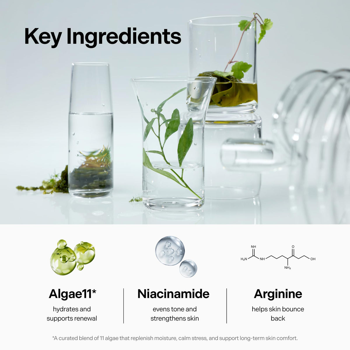 Coeternal Deep Moisture Serum featuring Niacinamide and Arginine supports the skin barrier.